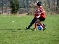 开运体育官方入口-拉齐奥主场不敌，欧冠梦或将破灭，拉齐奥欧联杯