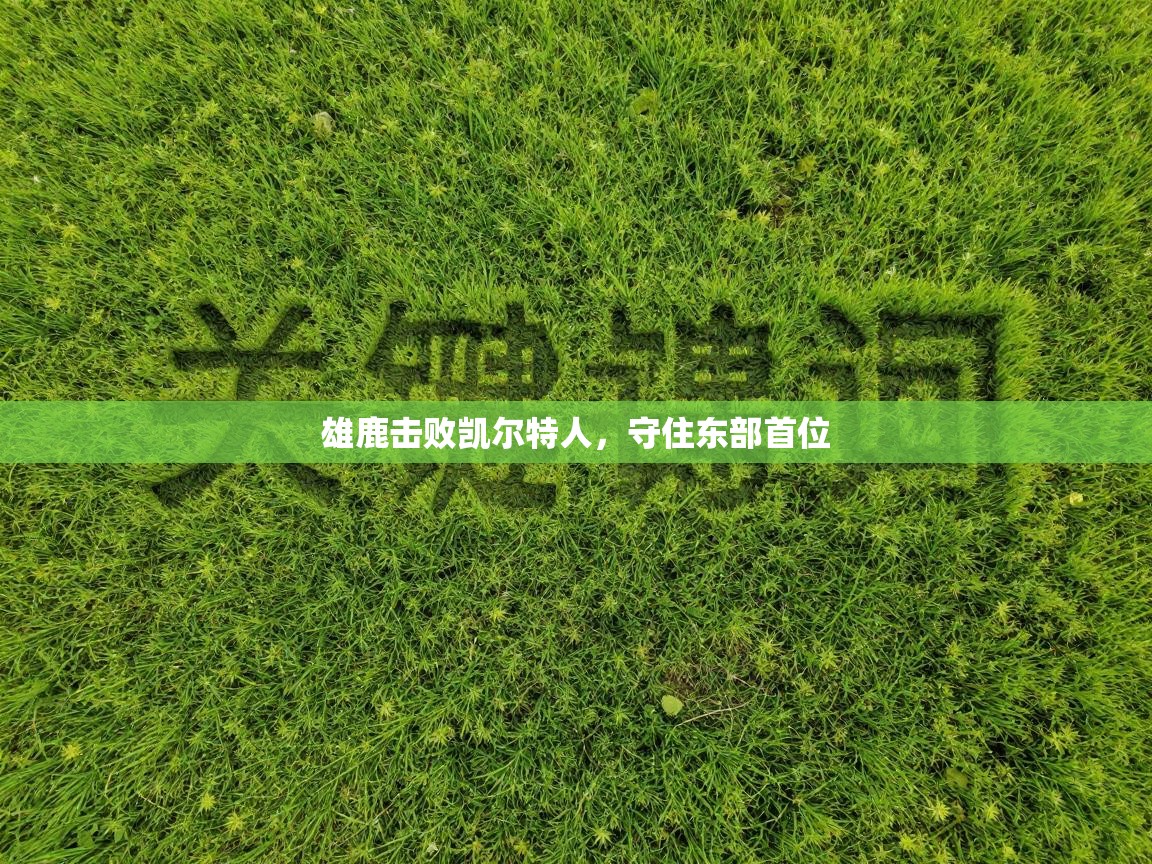 雄鹿击败凯尔特人,守住东部首位 第2张