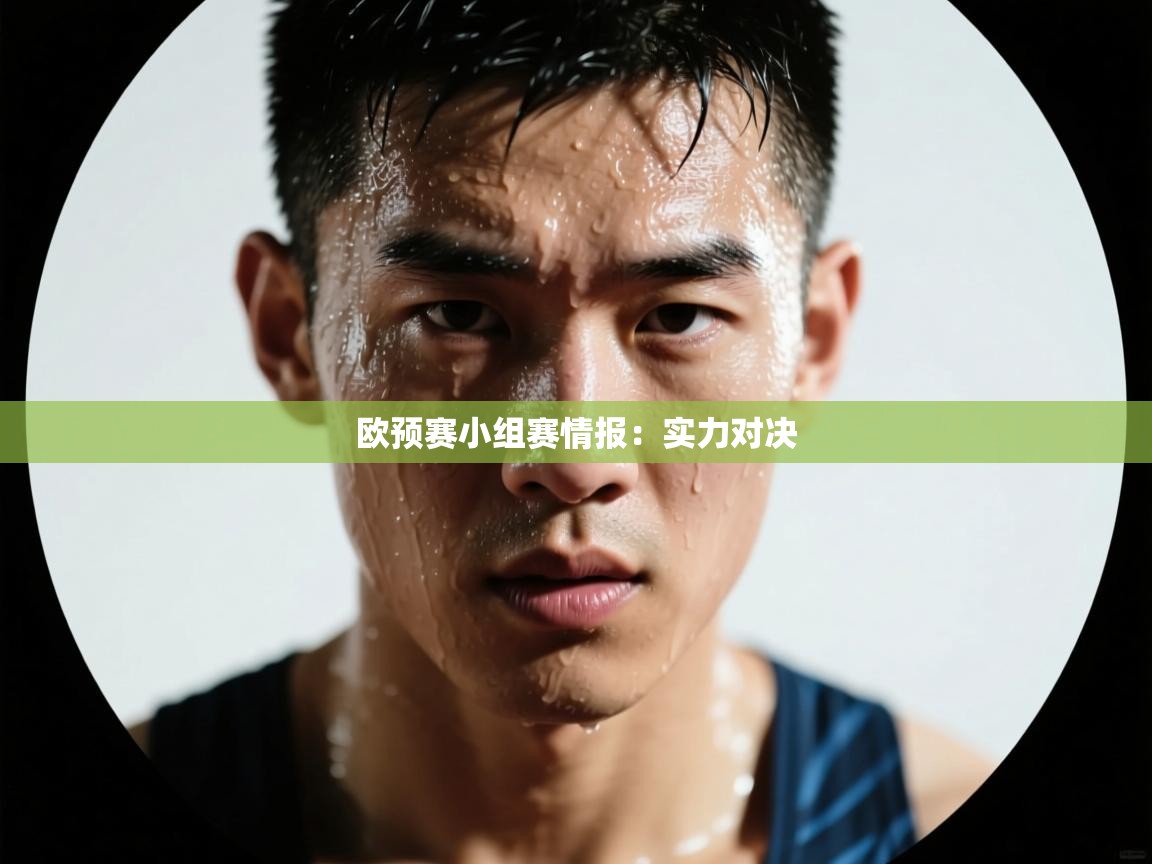 欧预赛小组赛情报:实力对决 第2张